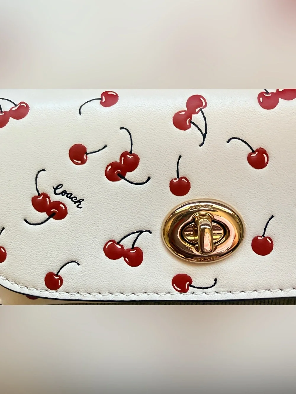 COACH Sunglasses Case with Cherries 🍒 Print NWT